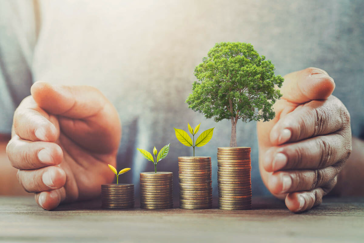 qC8weRvF0wIpoFEfn0kNrH0gNQM